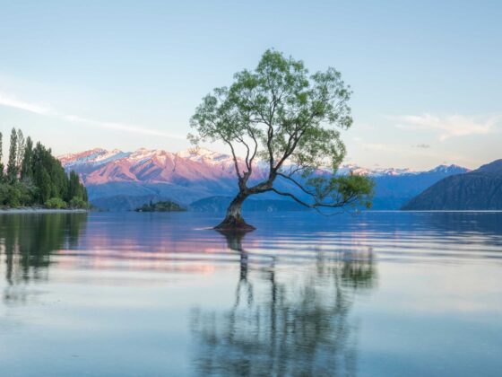 24 horas en Wanaka