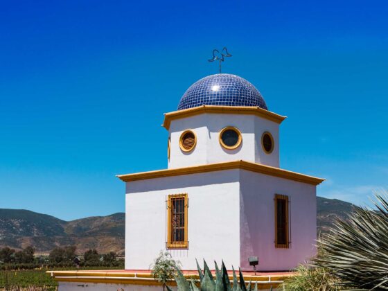 Guía foodie por el Valle de Guadalupe