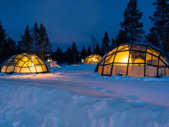 Finlandia: el mejor país del mundo para contemplar vida silvestre